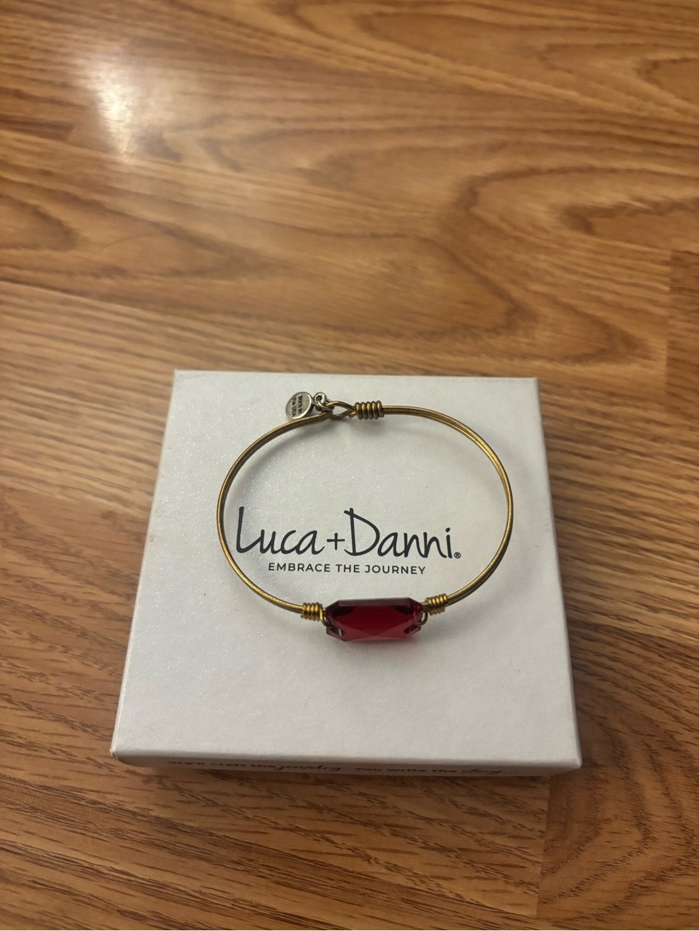 Luca + Danni Dylan Bangle Gold Wire Bracelet with Red Crystal Bead